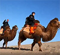 China 金刚生态阿尔特塔，金刚生态高位压Tours