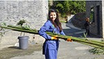 Once in a lifetime panda volunteer experience in Dujiangyan Panda Base (Chengdu /Dujiangyan / Chengdu)