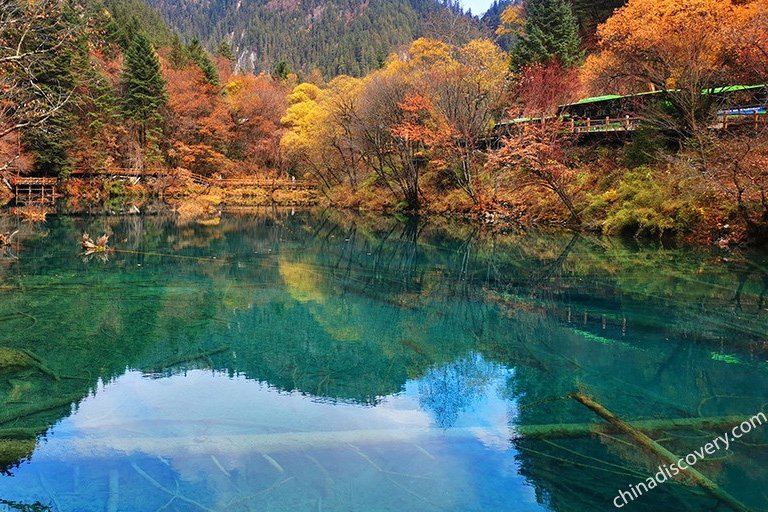 Chengdu Tours