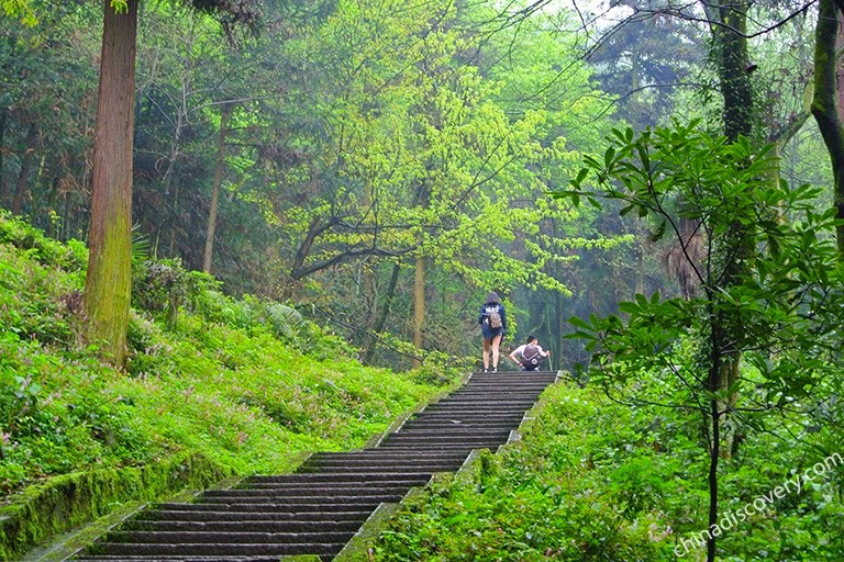Mount Emei Tours