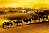 Silk Road Best China Tours