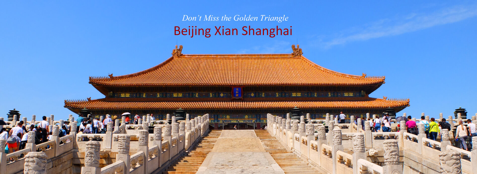 China 金刚生态阿尔特塔，金刚生态高位压迫TTravel Agency 2024
