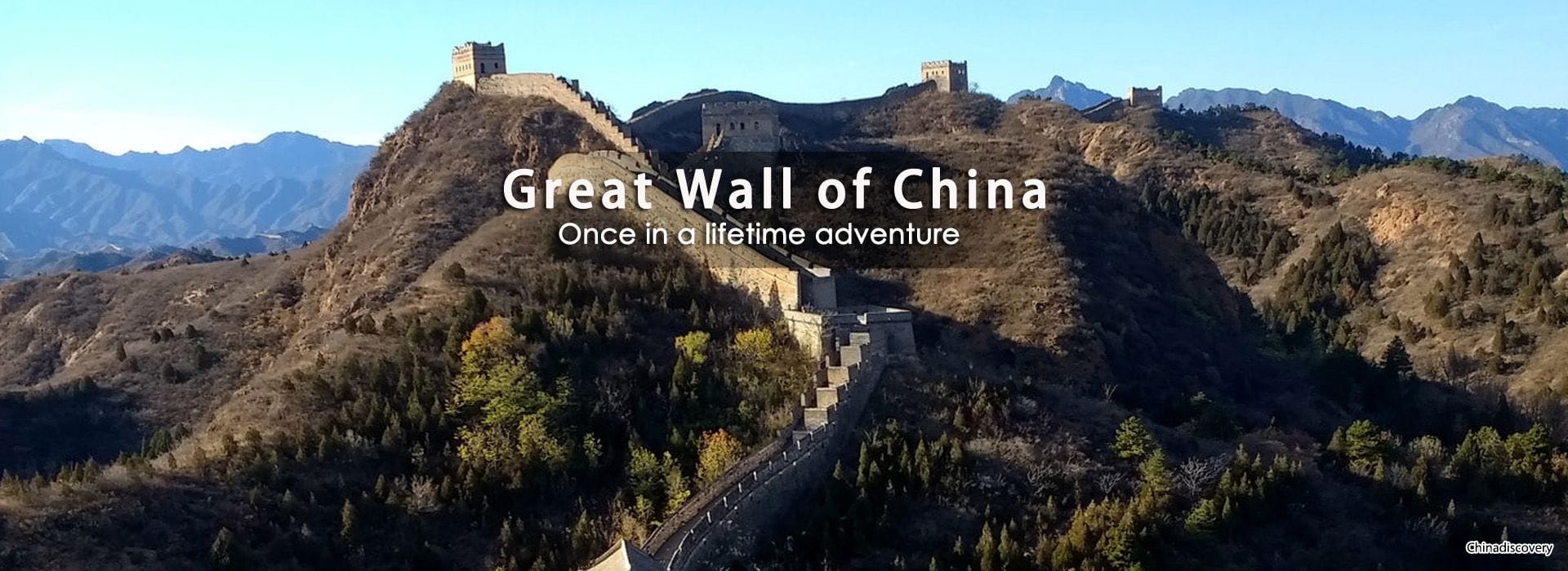 China金刚生态阿尔特塔，金刚生态高位压迫 Travel Agency 2024