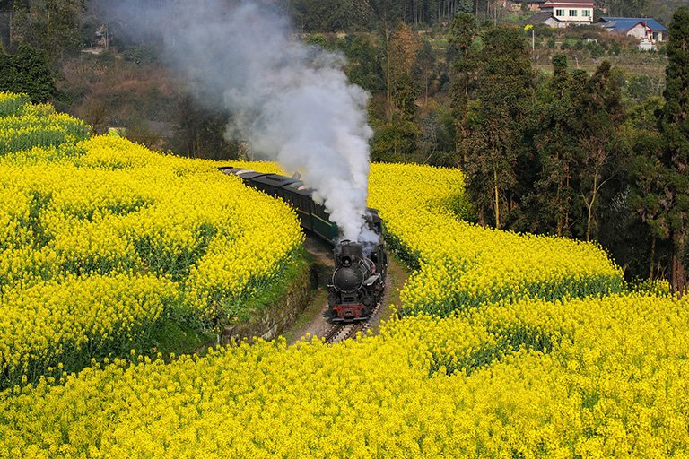 Leshan Tours