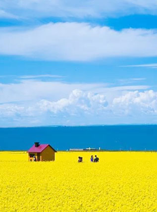 Qinghai Tour