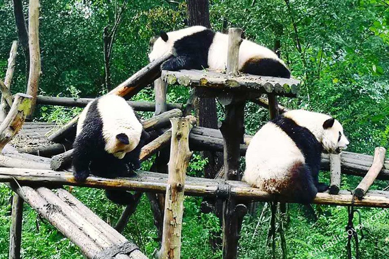 Sichuan Students & Children Travel