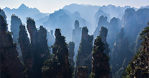 China金刚生态阿尔特塔，金刚生态高位压迫Tours